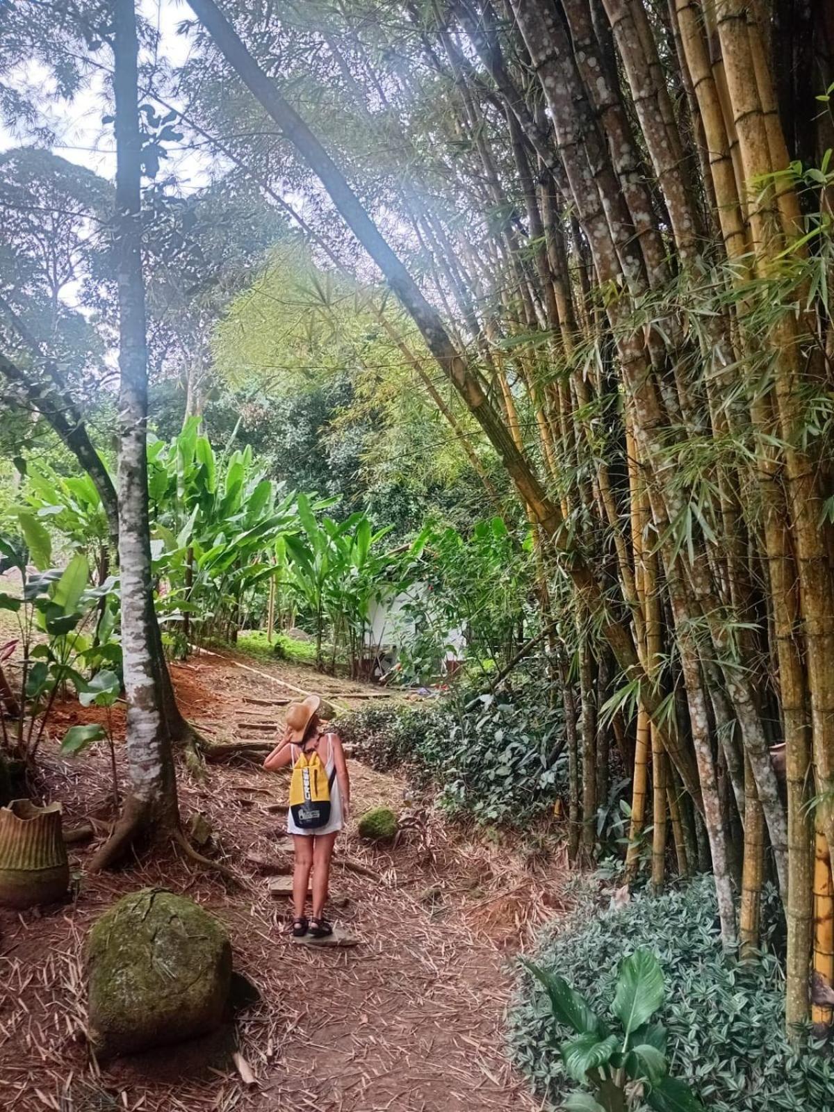 Bangalo Na Acqua Jungle Lodge 일랴그란지 외부 사진
