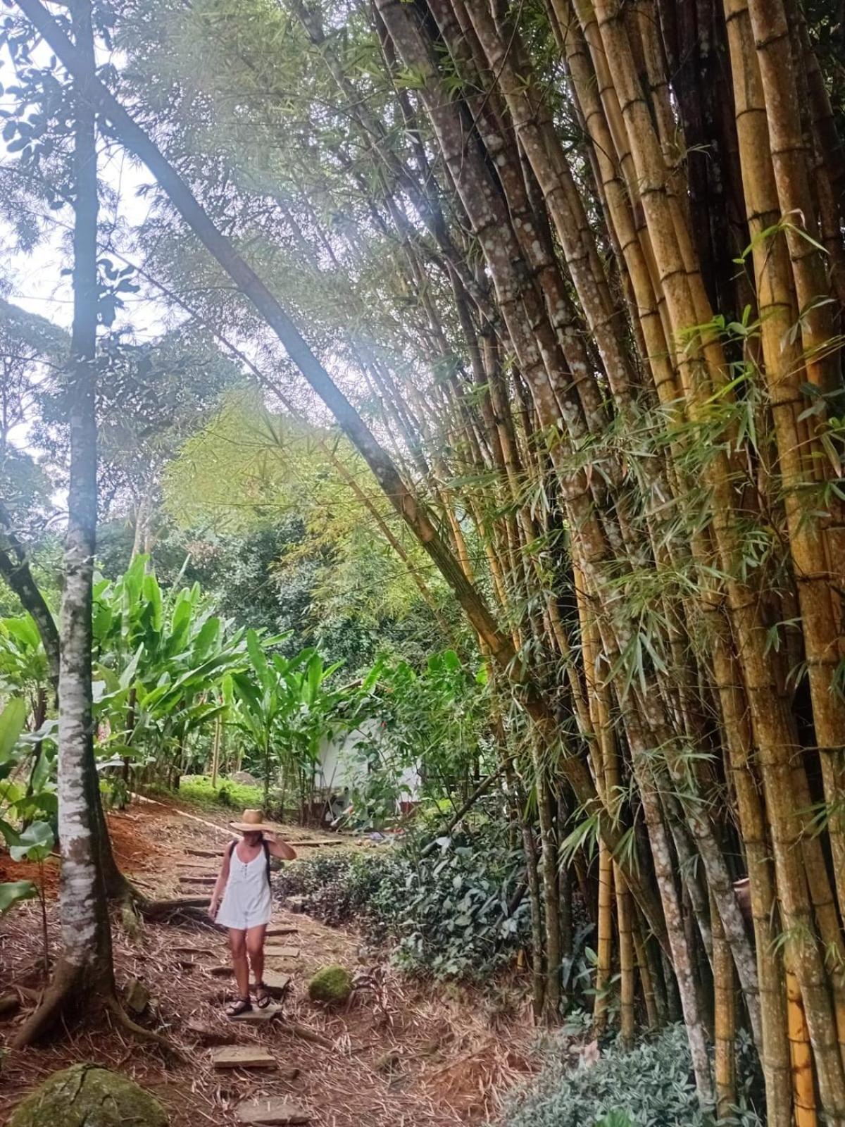 Bangalo Na Acqua Jungle Lodge 일랴그란지 외부 사진